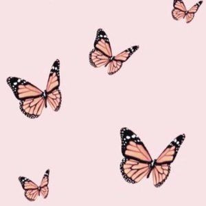 Meet your Posher, Kameryn